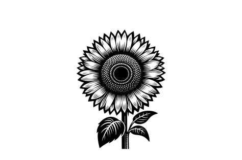 Sunflower Digital Artwork Floral Png Graphic By Artful Assetsy · Creative Fabrica