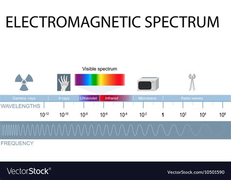 Electromagnetic Spectrum Royalty Free Vector Image