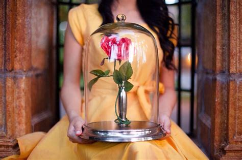 Beauty And The Beast Enchanted Rose Prop