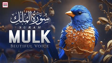 Surah Al Mulk Calming And Relaxing Recitation سورة الملك Soft Voice Ramadan Special Youtube