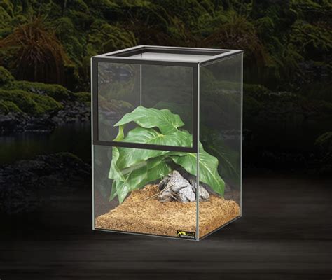 Kit Insect Terratlantis Terrarium Terrariums Pour Reptiles