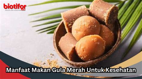 Manfaat Tebu Mengenal Keajaiban Dan Kegunaan Tanaman Manis Biotifor