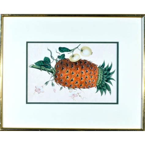 Chinese Fruit Watercolor Paintings On Pith Paper Set Of 8 Chairish