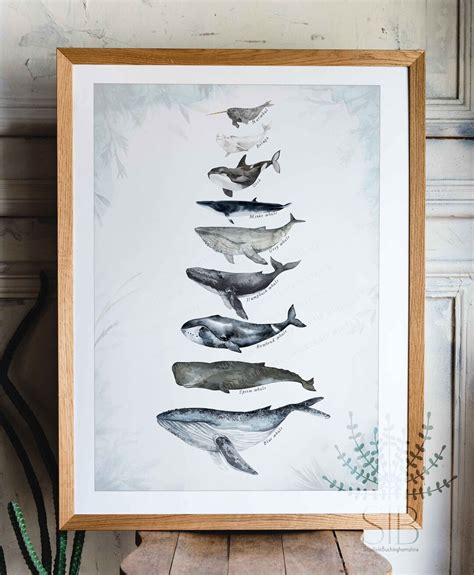 Whales Printable Whales Size Comparison Chart Wall Art Watercolour