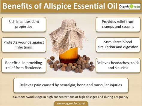 10 Best Benefits Of Allspice Essential Oil Organic Facts