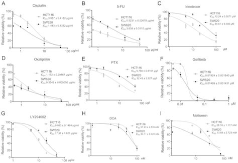 Tp53 Mutation Influences The Efficacy Of Treatment Of Colorectal Cancer