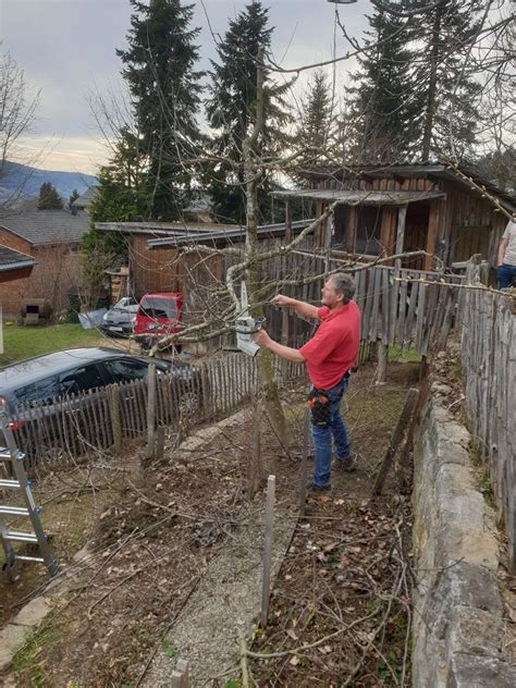 Ogv Obst Und Gartenkultur Vorarlberg Tages Baumschnittkurs Doren Sa