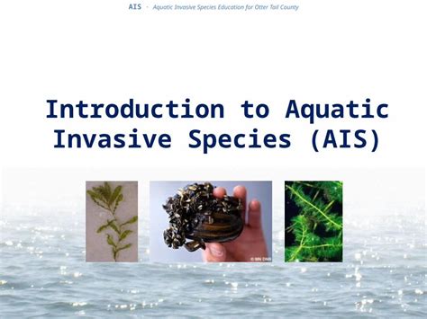 Pptx Introduction To Aquatic Invasive Species Ais Dokumen Tips