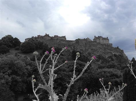 Edinburgh Castle Thistle - Free photo on Pixabay