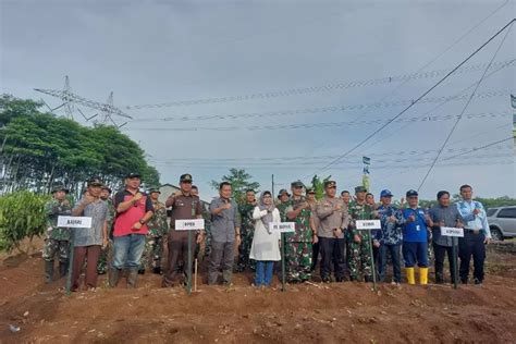 Tekan Laju Inflasi Batang Pilih Budidayakan Tanaman Ini Suara Merdeka