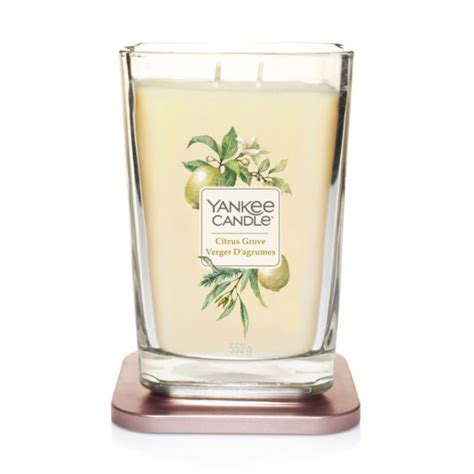 Elevation Du A Wieca Citrus Grove Yankee Candle