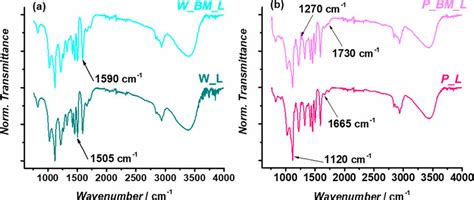 ATR-FTIR spectra of W_L, W_BM_L (a) and P_L, P_BM_L (b). | Download ...