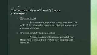 Evidence of evolution | PPT