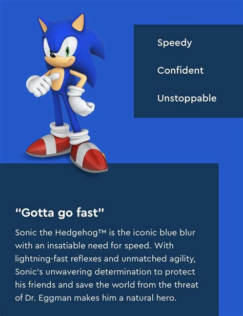 Lego descriptions of Sonic characters : r/SonicTheHedgehog