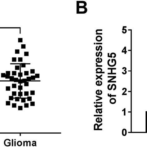 The Expression Of Lncrna Snhg In Glioma Tissues And Cells A Qrt Pcr