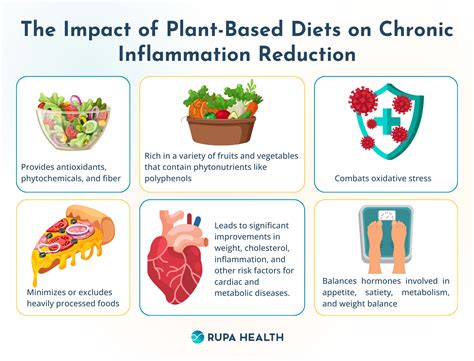 impact  plant based diets  chronic inflammation reduction