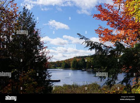 Fall Colours in Muskoka Stock Photo - Alamy