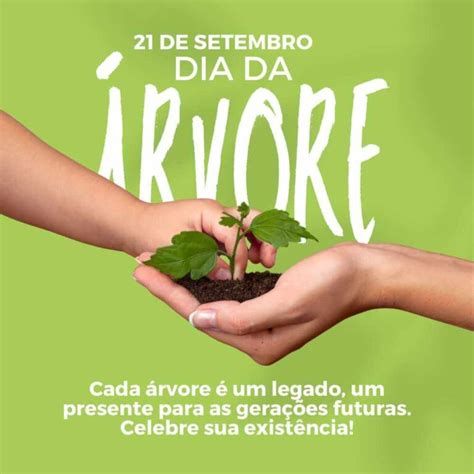 Frases Para O Dia Da Arvore - 35 Frases do Dia da Árvore: Valorizando Nossos Pulmões Naturais - Me ...