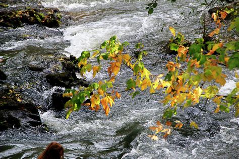 Rippling Waters Photograph By Pauline Darrow Fine Art America