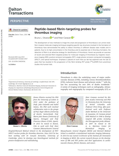 Pdf Peptide Based Fibrin Targeting Probes For Thrombus Imaging