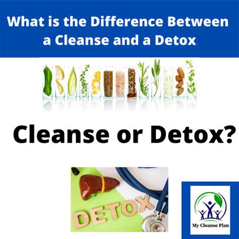 What Is The Difference Between A Cleanse And A Detox My Cleanse Plan