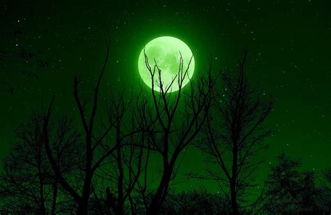 Full Moon Green Night - Free photo on Pixabay - Pixabay