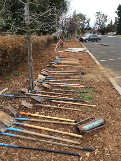 Shovels And Other Tools From Lindsay Tree Planting Tree Day Growing