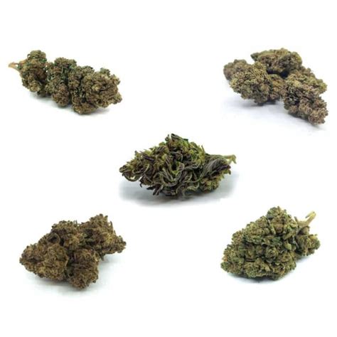 Pack D Couverte De Fleurs De Cbd Cannavirtus Votre Boutique En