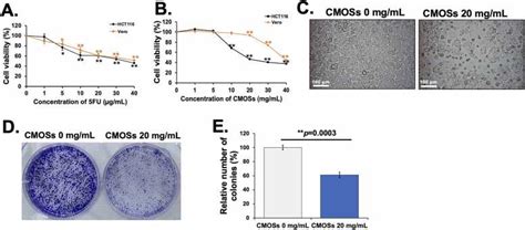 Human Crc Cell Lines Hct116 ATCC Bioz