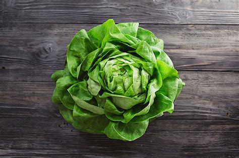 Salat Aufbewahren Leicht Gemacht EMSA