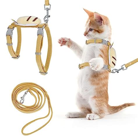 Find The Best Leash For A Cat Reviews And Comparison Katynel