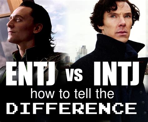 How To Tell The Difference Entj Vs Intj The Book Addicts Guide To Mbti