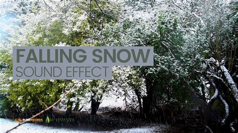 Snow Falling Sound Effect Free Download - Videohive , After Effects,Pro ...