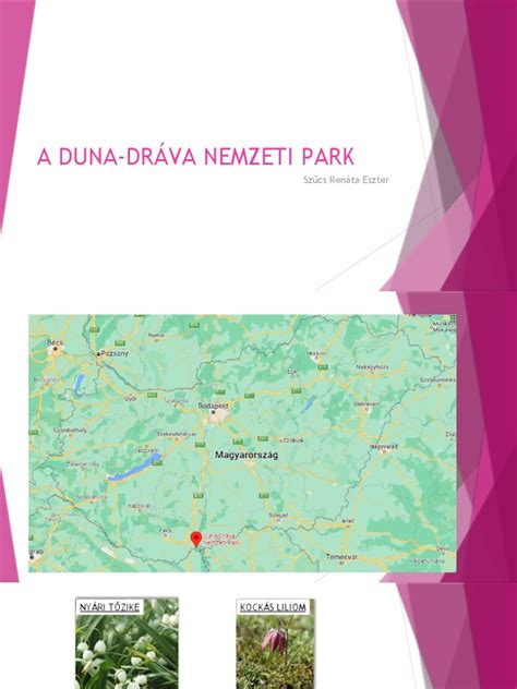 A Duna DrÁva Nemzeti Park Pdf