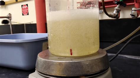 Crystallization Of Sugar Experiment