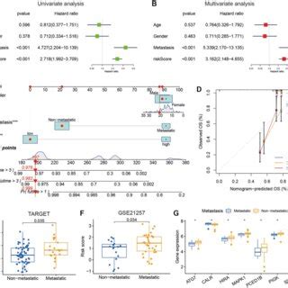 The Relationships Between Clinical Characteristics And The Iegs