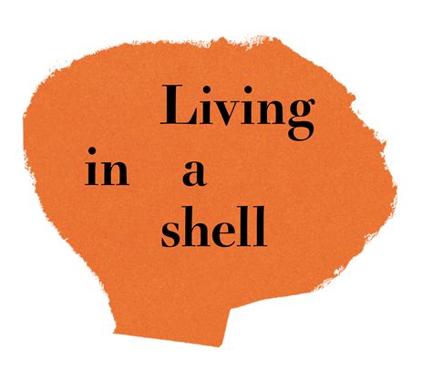 Discover The Animated Book Ss23 Living In A Shell Bobo Choses