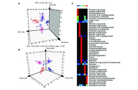 Results Of 3D PCA Score Plot A 3D PLSDA Score Plot B And Heat