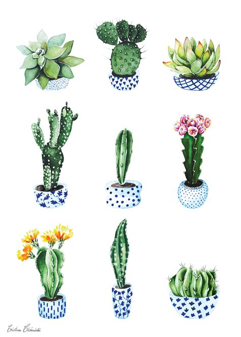 Watercolor Cactus Wallpapers Top Free Watercolor Cactus Backgrounds