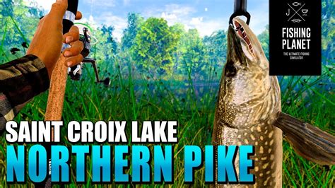 Fishing Planet Nothern Pike Hotspot Beginners Money And Xp Guide