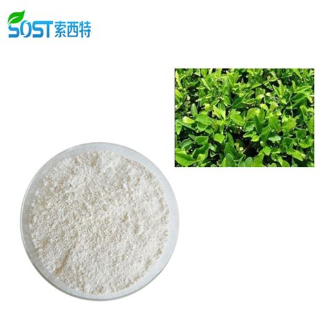 High Quality Wholesale Dihydromyricetin Dhm Powder China Vine Tea