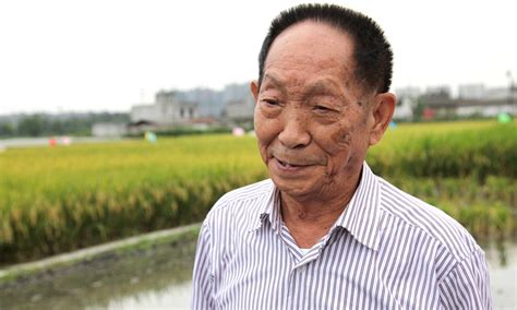 Yuan Longping Father Of Hybrid Rice Dies At 91 Global Times