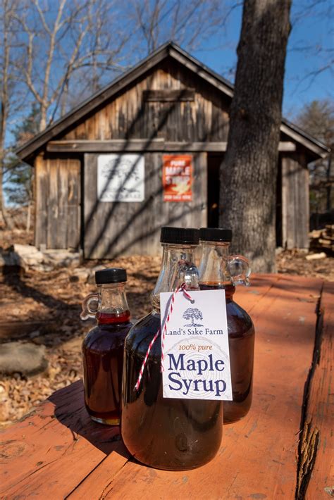 Maple Syrup Production – Land’s Sake