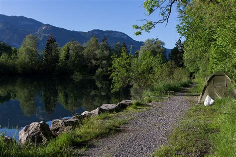 Fischen Am Alten Rhein