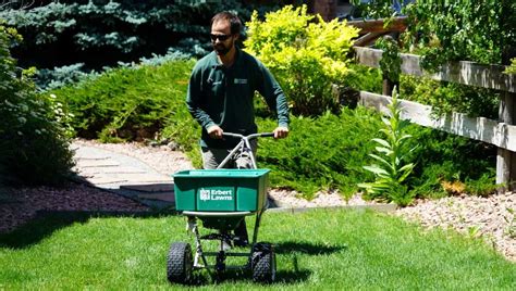 Weed Control Fertilization Lawncare Erbert Lawns