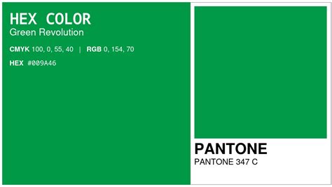 Hex 009a46 To Pms Code Pantone 347 C Conversion Chart Pms Solid Coated