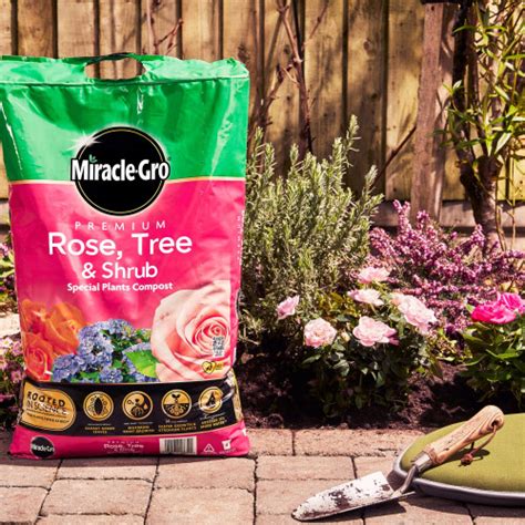 Miracle Gro Compost Rose Tree Shrub Special Plant Compost 20L On OnBuy