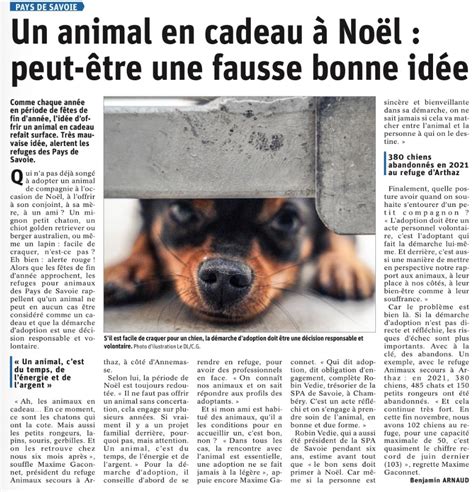 Actualit S Animaux Secours