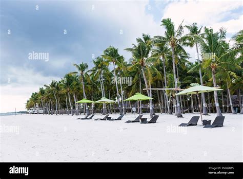 Lounge Chairs With Umbrella In Front Of Palm Trees At Beach Bohol