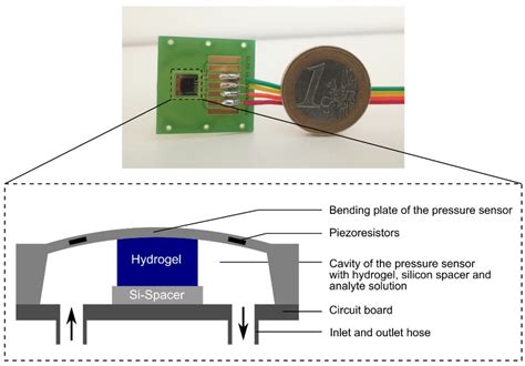 Sensors Free Full Text Hydrogel Based Sensors For Ethanol Detection